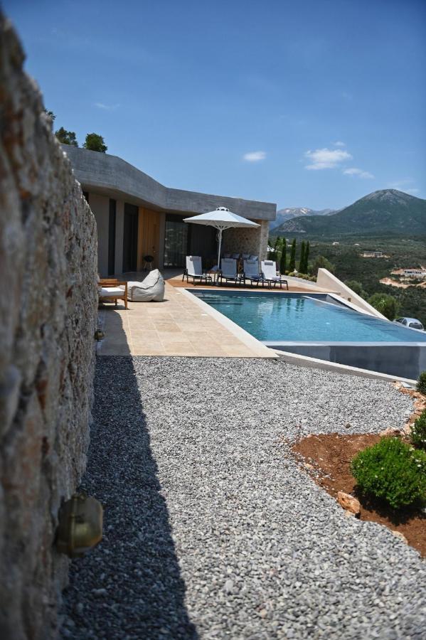 Blooms Of Sivota Bay - Luxury Villas With Private Heated Pool 外观 照片